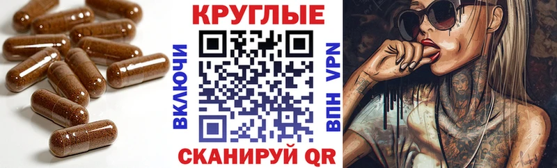 кракен ссылки  Усть-Кут  ЭКСТАЗИ бентли 