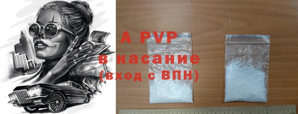 стаф Ельня