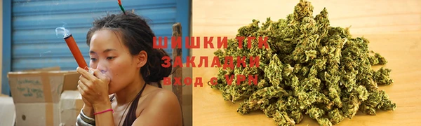 стаф Ельня