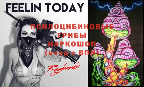 стаф Ельня