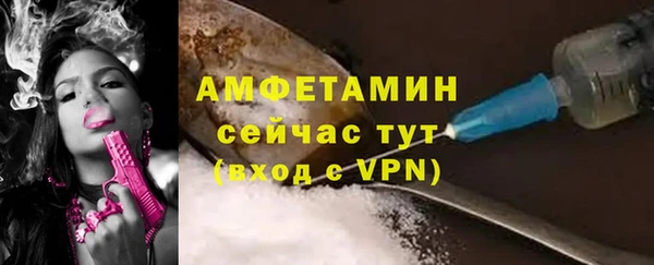стаф Ельня