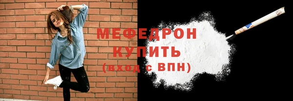 стаф Ельня