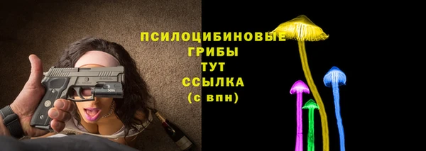 соль ск Елизово