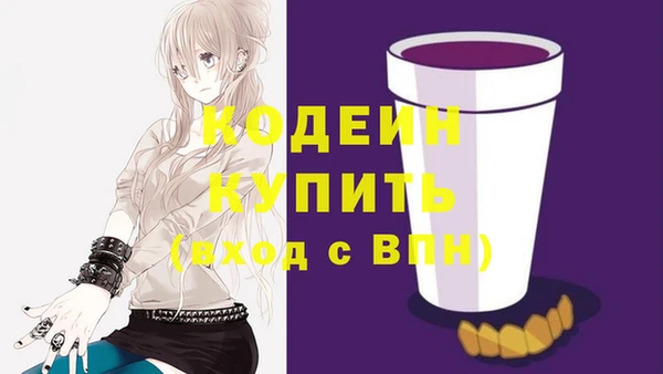 стаф Ельня