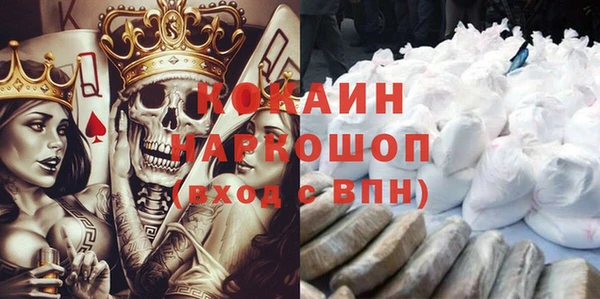 стаф Ельня
