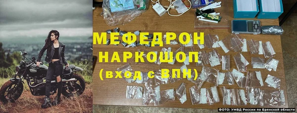 стаф Ельня