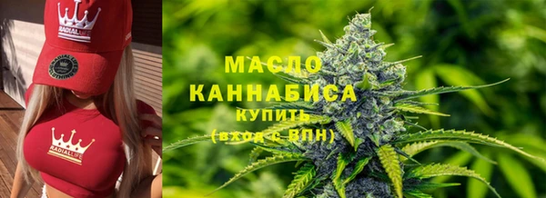 стаф Ельня