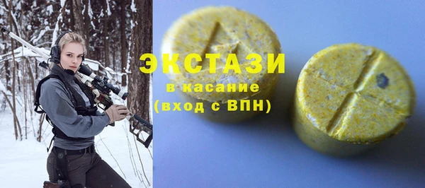 стаф Ельня