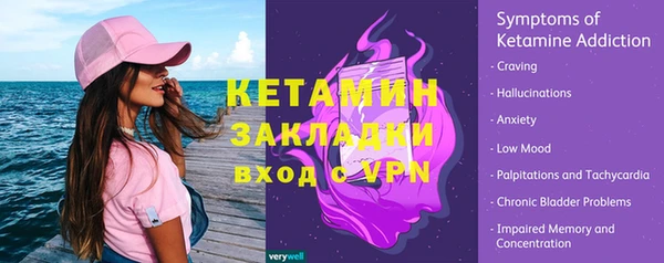 стаф Ельня