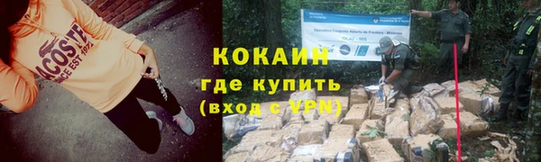стаф Ельня