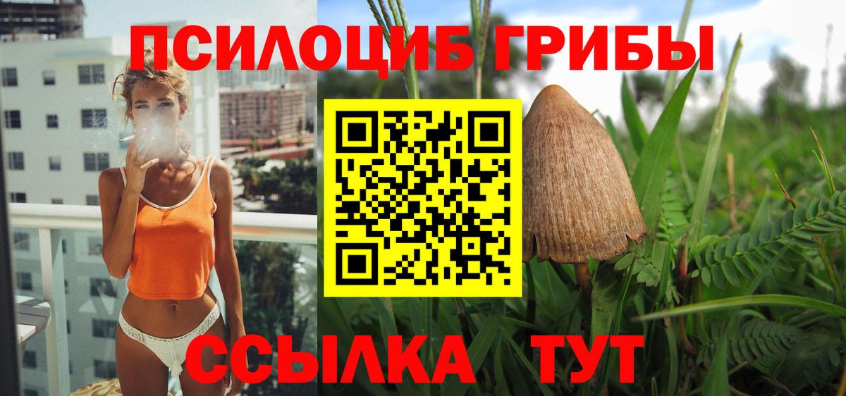 Галлюциногенные грибы MAGIC MUSHROOMS Усть-Кут