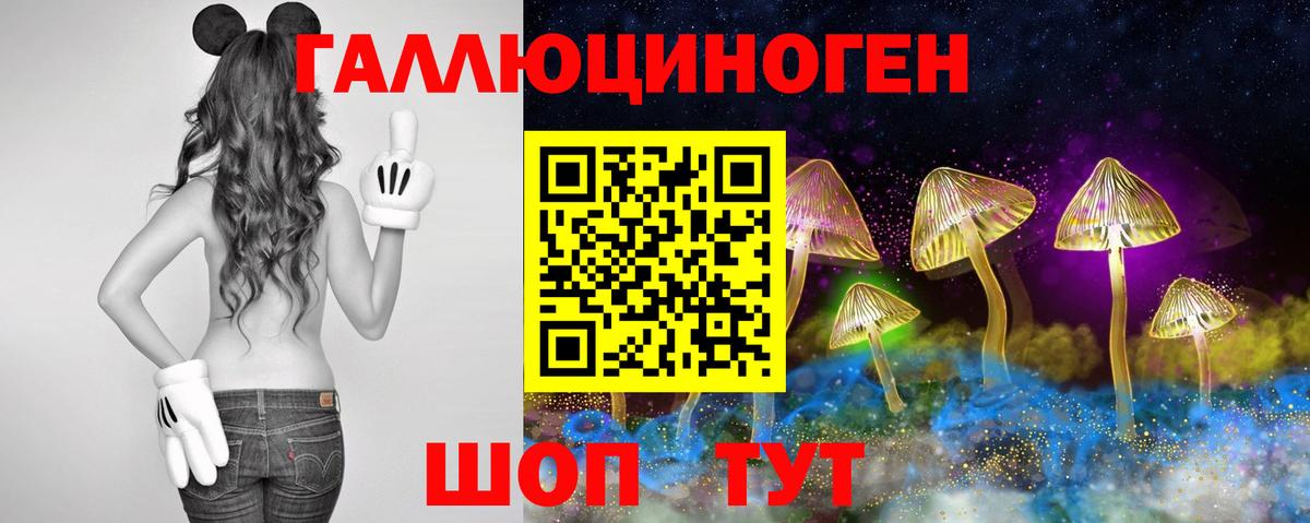 Усть-Кут  Галлюциногенные грибы Psilocybine cubensis  Вход с VPN  Псилоцибиновые грибы прущие грибы 