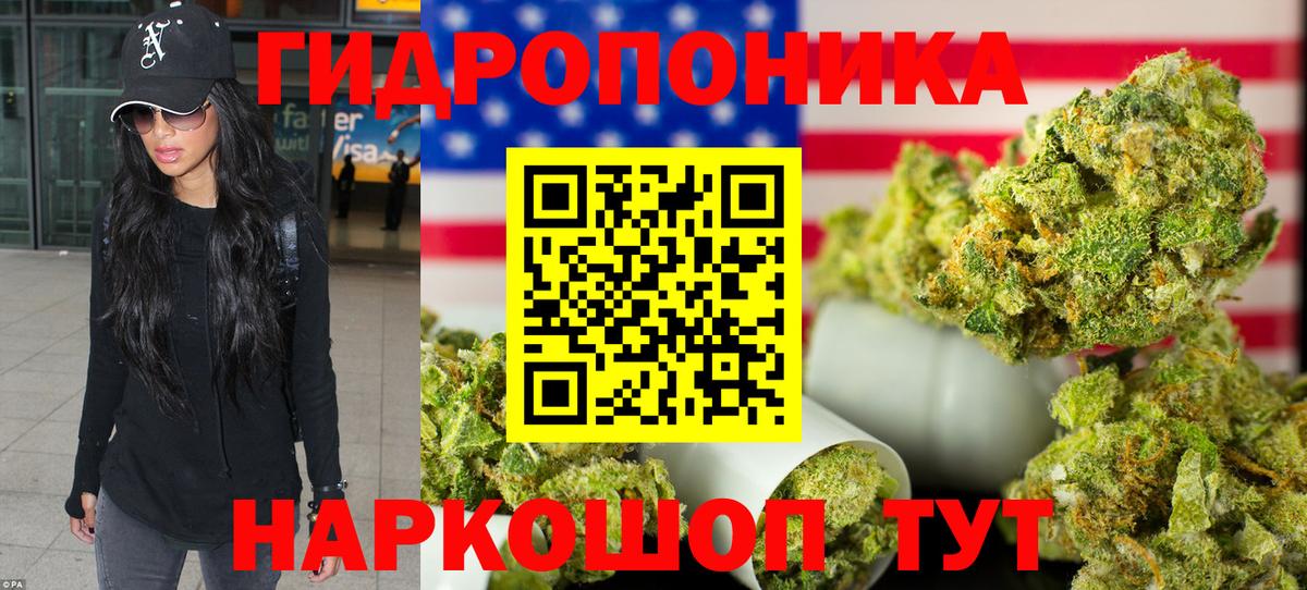 Бошки Шишки White Widow  Марихуана тримм  Марихуана White Widow  Вход с VPN  Усть-Кут  Марихуана THC 21% 